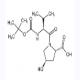 (2S,4R)-1-((叔丁氧羰基)-L-戊基)-4-羟基吡咯烷-2-羧酸-CAS:175012-15-4